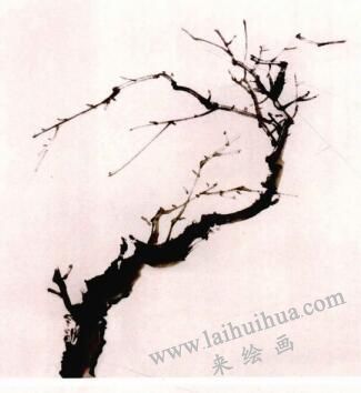 國(guó)畫梅花的畫法步驟01