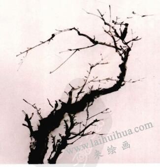 國(guó)畫梅花的畫法步驟02