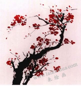 國(guó)畫梅花的畫法步驟03