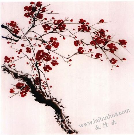 國(guó)畫(huà)梅花的畫(huà)法步驟03