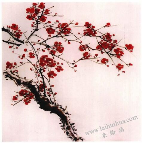 國(guó)畫(huà)梅花的畫(huà)法步驟04