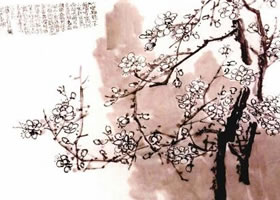 國畫梅花的畫法步驟范例四