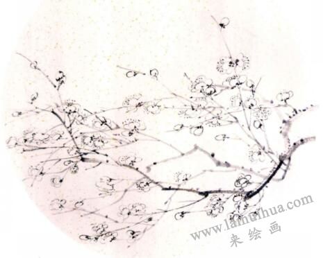國(guó)畫(huà)梅花的畫(huà)法步驟03
