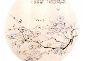 國畫梅花的畫法步驟范例七