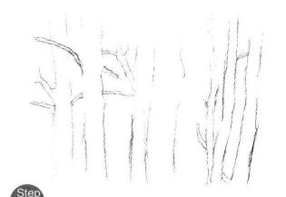 森林素描畫法步驟02