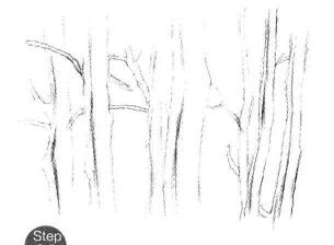 森林素描畫法步驟03