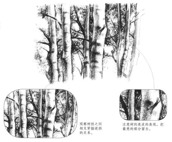 森林素描畫法