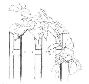 柵欄花藤的素描畫法步驟01