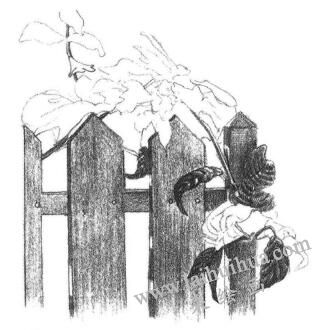 柵欄花藤的素描畫法步驟06