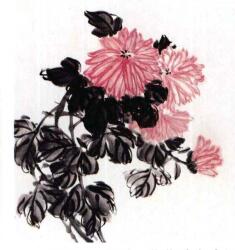 國(guó)畫(huà)菊花的范畫(huà)練習(xí)步驟02