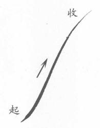 菊花葉子葉筋的勾法01