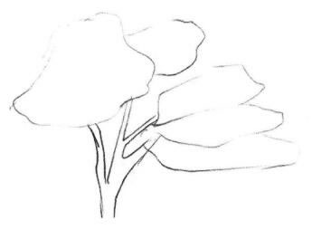 紅楓素描畫法步驟01