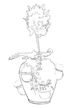 院內(nèi)植物花卉素描畫法步驟01
