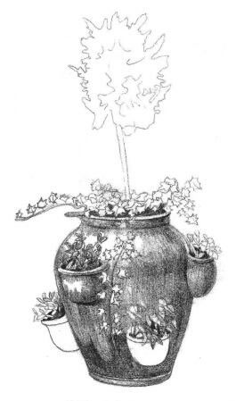 院內(nèi)植物花卉素描畫法步驟05