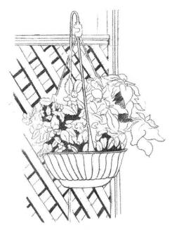 私家小院素描畫(huà)法步驟02