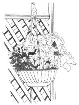 私家小院素描畫(huà)法步驟03