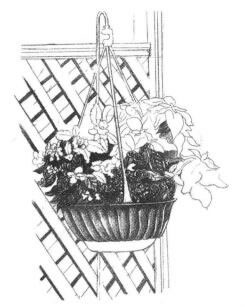 私家小院素描畫(huà)法步驟04
