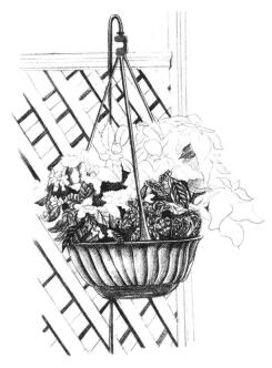 私家小院素描畫(huà)法步驟05