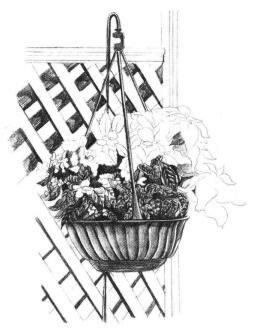 私家小院素描畫(huà)法步驟06