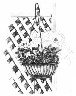 私家小院素描畫(huà)法步驟07