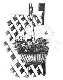 私家小院素描畫(huà)法步驟08
