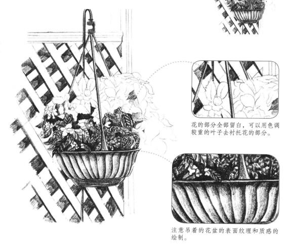 私家小院素描畫(huà)法步驟