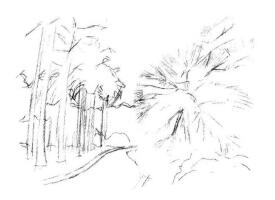 植物公園素描畫法步驟03