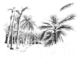 植物公園素描畫法步驟11