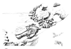 海邊景色素描畫法步驟06