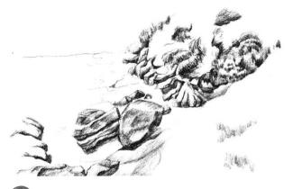 海邊景色素描畫法步驟07