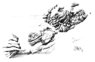 海邊景色素描畫法步驟08