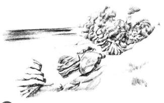 海邊景色素描畫法步驟09