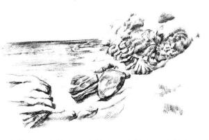 海邊景色素描畫法步驟10