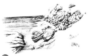 海邊景色素描畫法步驟11