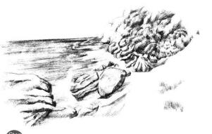 海邊景色素描畫法步驟12