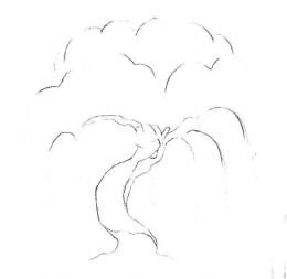 柳樹素描畫法步驟01