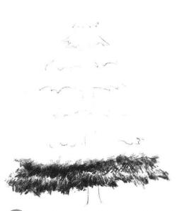 圣誕樹素描畫法步驟02
