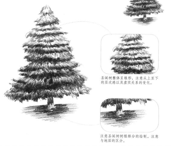 圣誕樹素描畫法