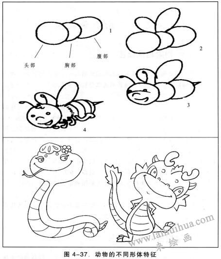 動物簡筆畫的畫法