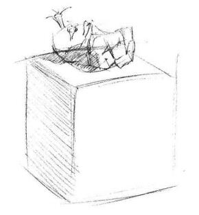 仙人掌素描畫法步驟02