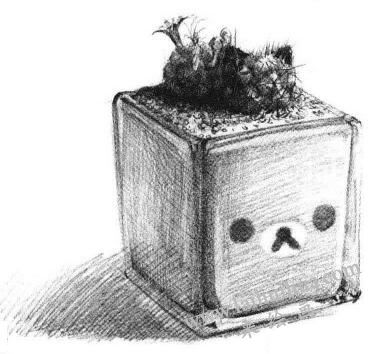 仙人掌素描畫法步驟06