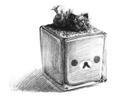 仙人掌素描畫法