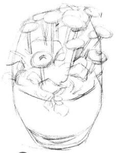 小盆栽雛菊素描畫法步驟02