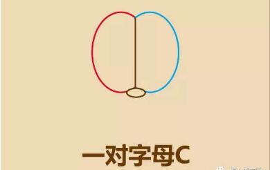 加菲貓頭像簡筆畫畫法步驟02