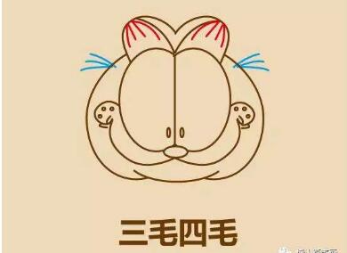 加菲貓頭像簡筆畫畫法步驟08
