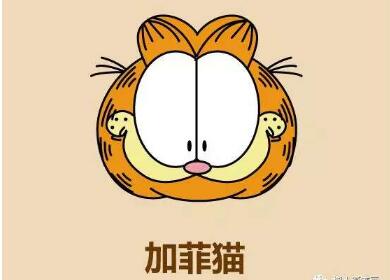 加菲貓頭像簡筆畫畫法步驟10
