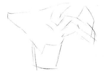 綠蘿的素描畫法步驟01