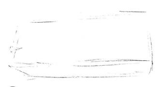 寶石花素描畫法步驟01