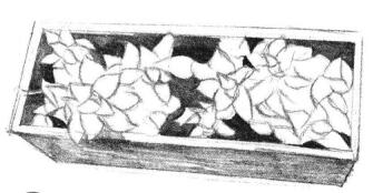 寶石花素描畫法步驟03