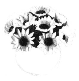太陽花素描畫法步驟03